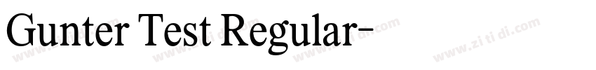 Gunter Test Regular字体转换